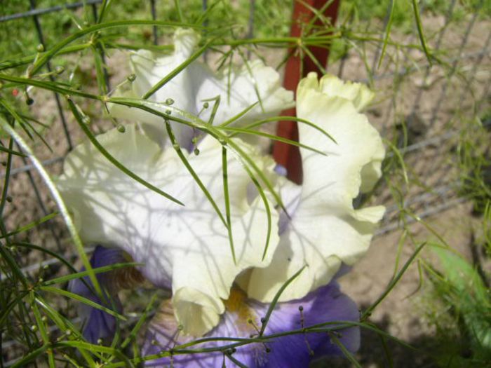 P1210078