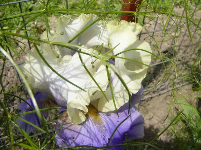 P1210080