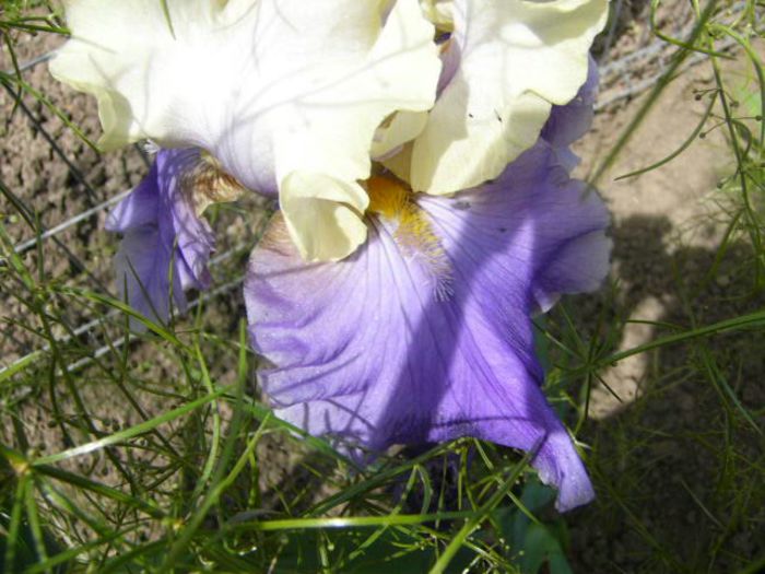P1210081