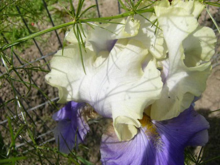 P1210082