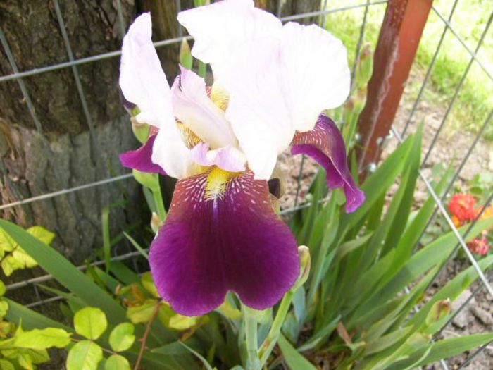 P1210086