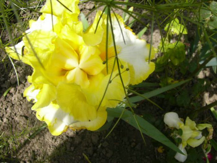 P1210090