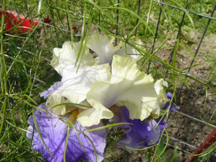 P1210094