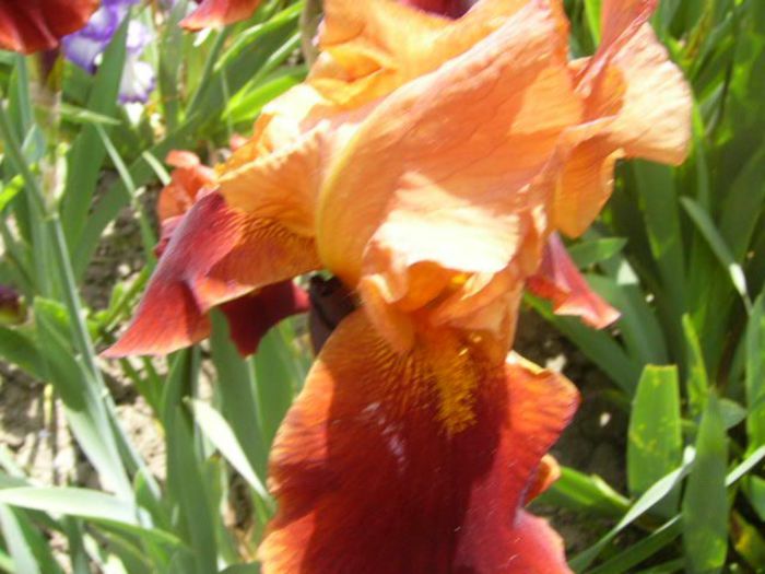 P1210149