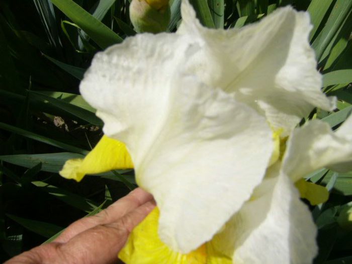 P1210157
