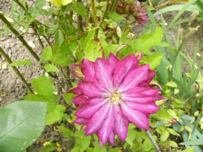 P1210216