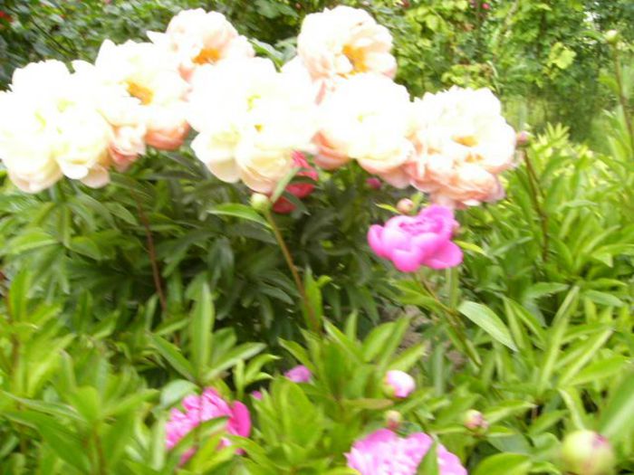 P1210227