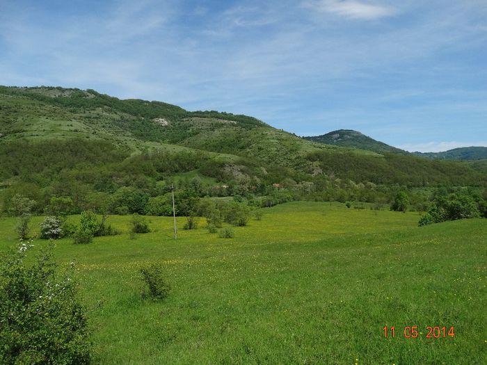 DSC03260 - Peisaje 2014 si alte imagini
