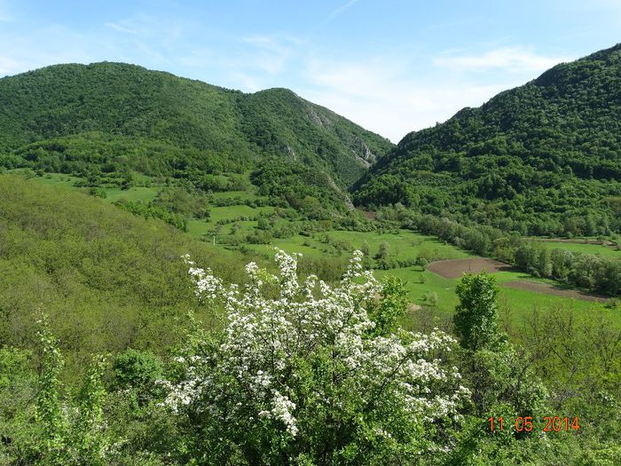 DSC03330 - Peisaje 2014 si alte imagini
