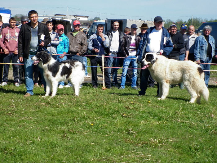 P1040091 - Expo club Veresti 2014