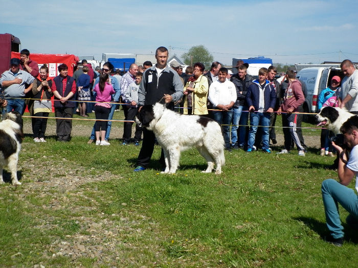 P1040093 - Expo club Veresti 2014