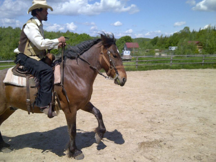 960272_753834951304098_7104719806718759039_n - western cowboy