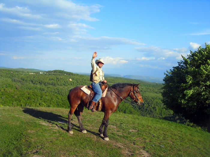 10345091_665511153502260_2039537217_n - western cowboy