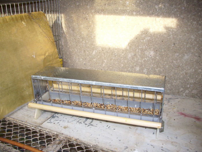 HRANITOARE PT. CANARI