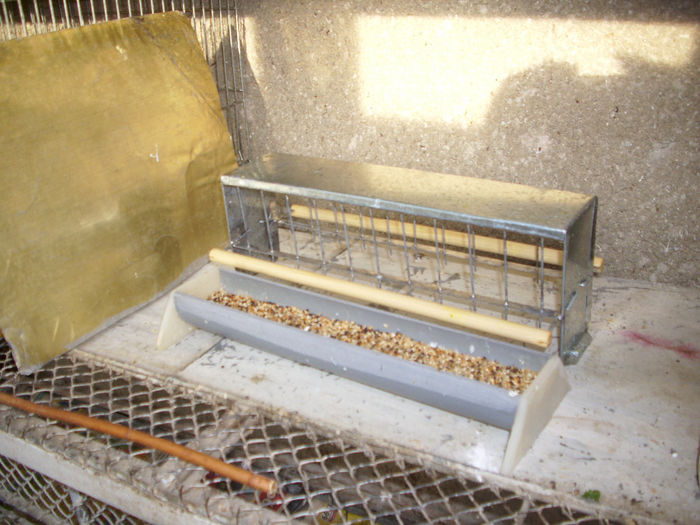 HRANITOARE PT. CANARI