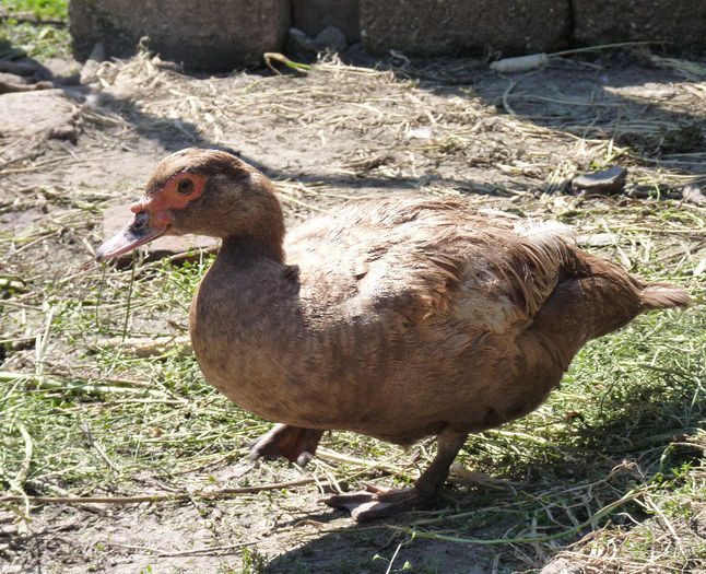 P1260530