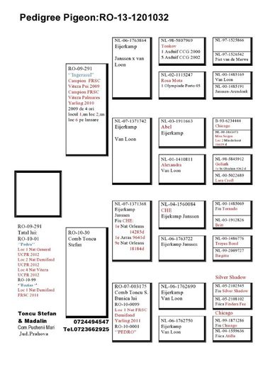 Toncu-Stefan-RO-1201032-2013-M-pedigree