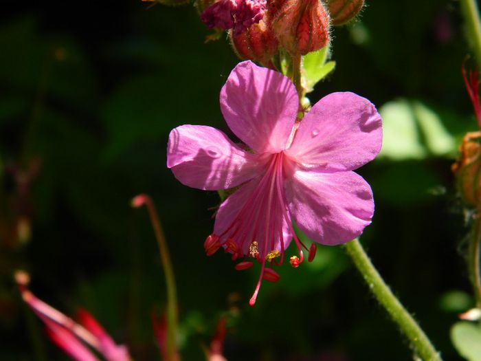 DSCN9076 - MAI_2_2014