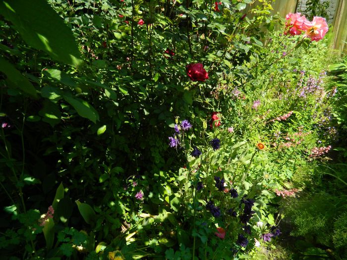 DSCN9077 - MAI_2_2014