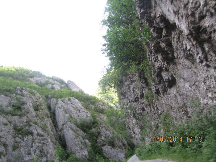 IMG_4919 - Cheile Sohodolului in mai