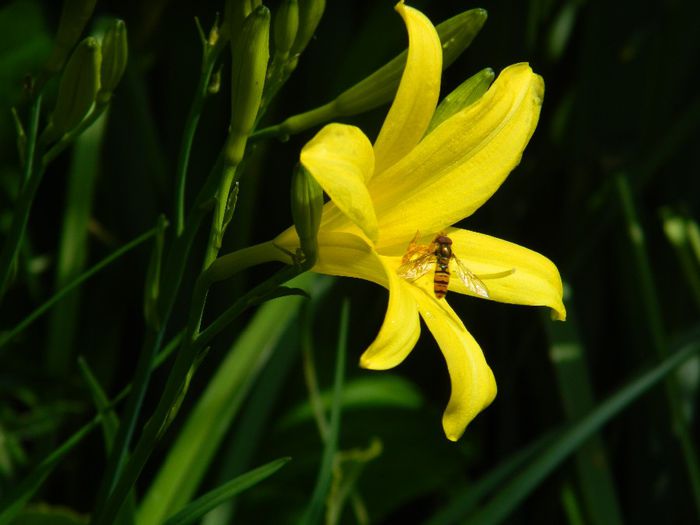 DSCN9085 - MAI_2_2014