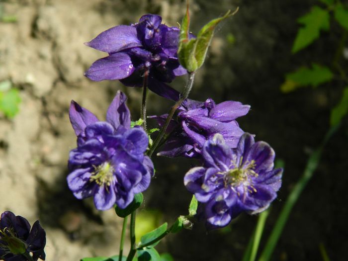 DSCN9088 - MAI_2_2014