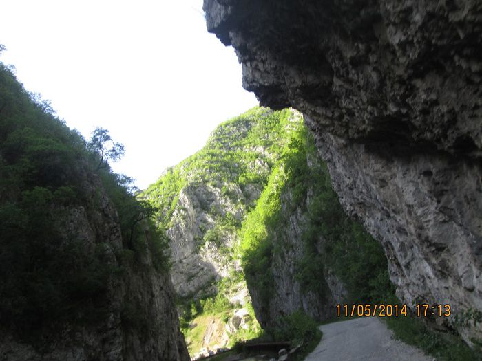 IMG_4922 - Cheile Sohodolului in mai