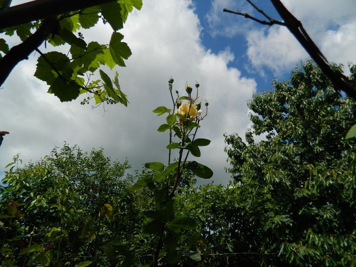 DSCN9094 - MAI_2_2014