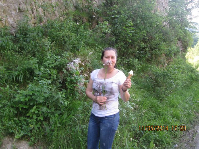 IMG_4930 - Cheile Sohodolului in mai