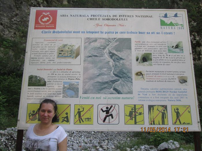 IMG_4934 - Cheile Sohodolului in mai