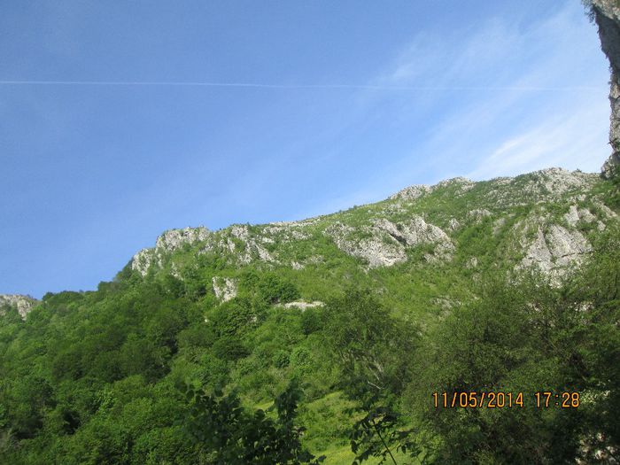 IMG_4951 - Cheile Sohodolului in mai