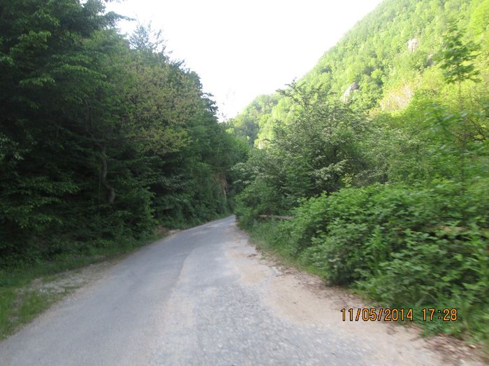 IMG_4952 - Cheile Sohodolului in mai