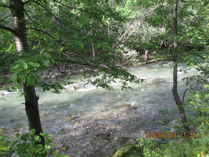 IMG_4954 - Cheile Sohodolului in mai