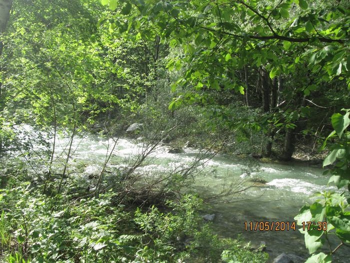 IMG_4956 - Cheile Sohodolului in mai