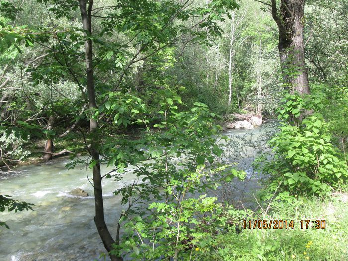 IMG_4957 - Cheile Sohodolului in mai