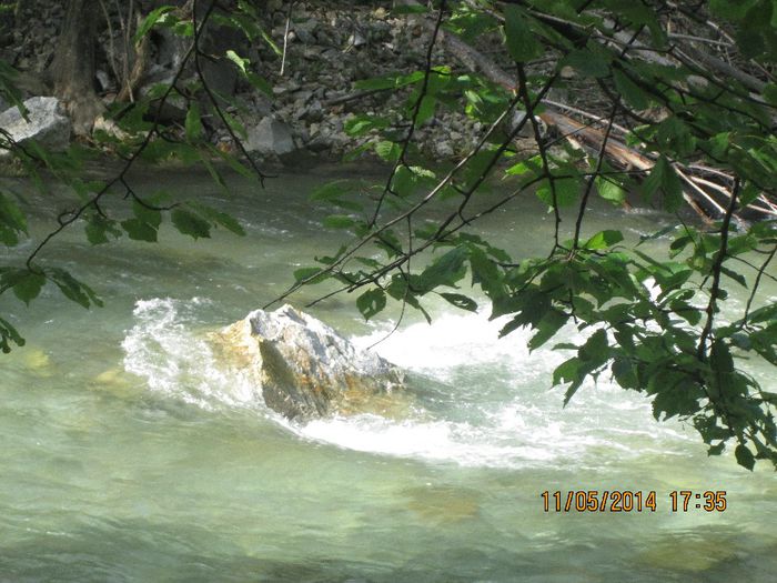 IMG_4960 - Cheile Sohodolului in mai