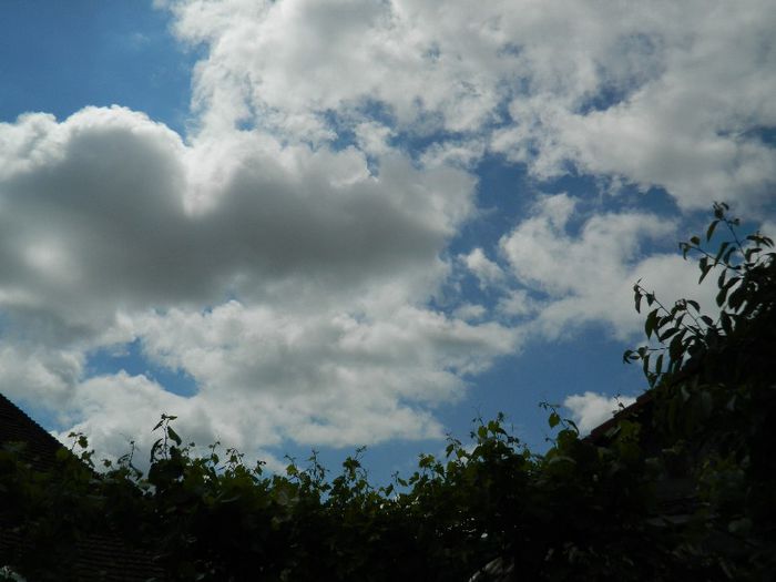 DSCN9104 - MAI_2_2014