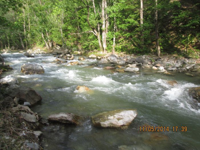 IMG_4964 - Cheile Sohodolului in mai