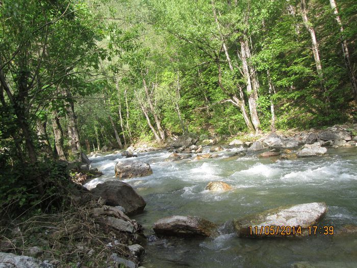 IMG_4966 - Cheile Sohodolului in mai