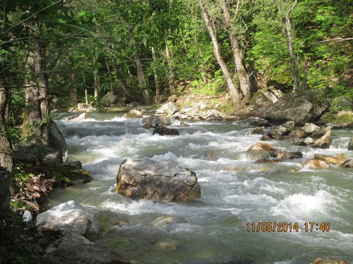 IMG_4969 - Cheile Sohodolului in mai