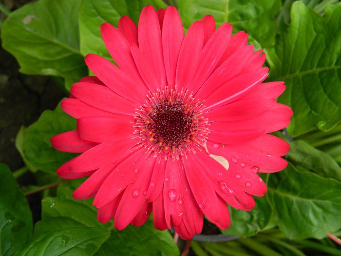 DSCN9120 - MAI_2_2014