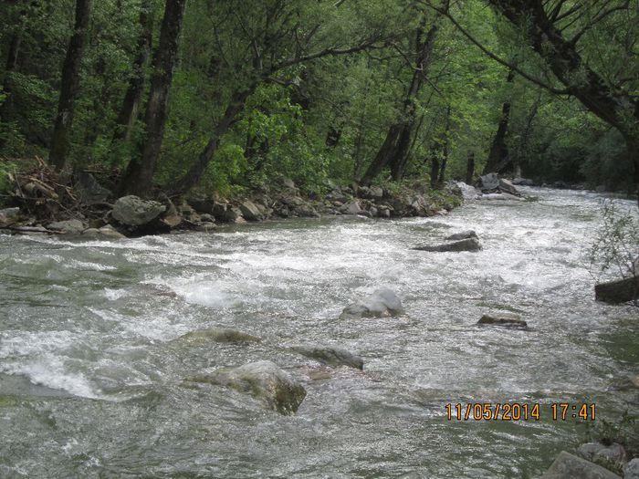 IMG_4970 - Cheile Sohodolului in mai