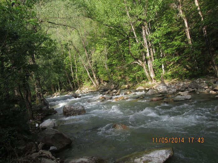 IMG_4980 - Cheile Sohodolului in mai