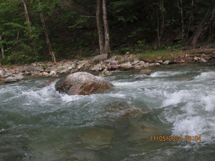 IMG_5013 - Cheile Sohodolului in mai