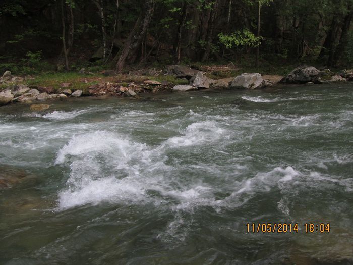 IMG_5014 - Cheile Sohodolului in mai