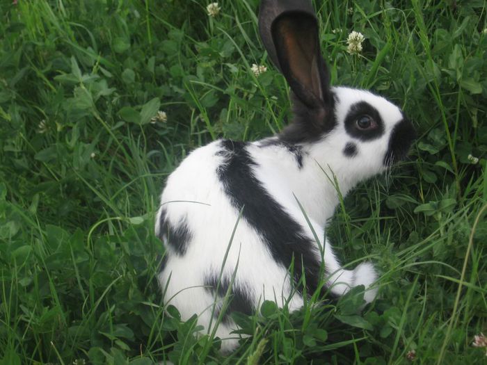 IMG_0134 - 13 05 2014