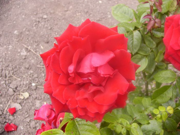 P1210286