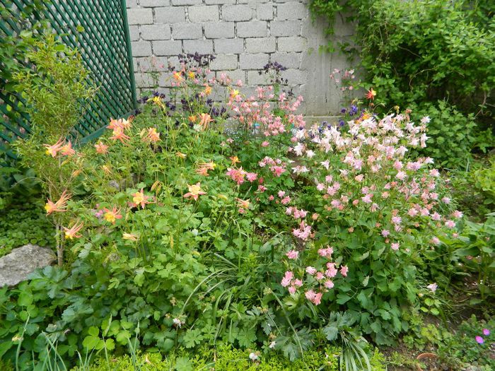  - La jumate de florar si final de luna