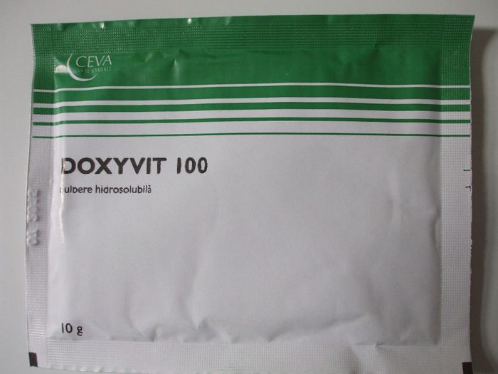 DOXYVIT 100 10 G - 5 RON