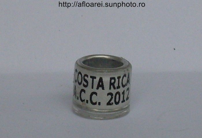 costa rica acc 2012